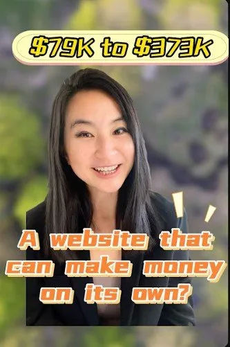 从 $79K 到 $373K：19 个月成长秘诀