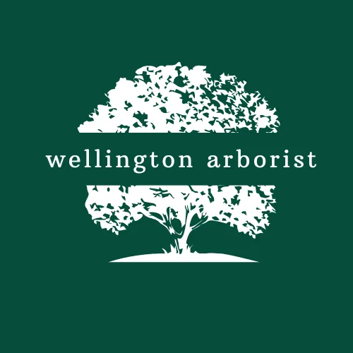 New Zealand Tree Company